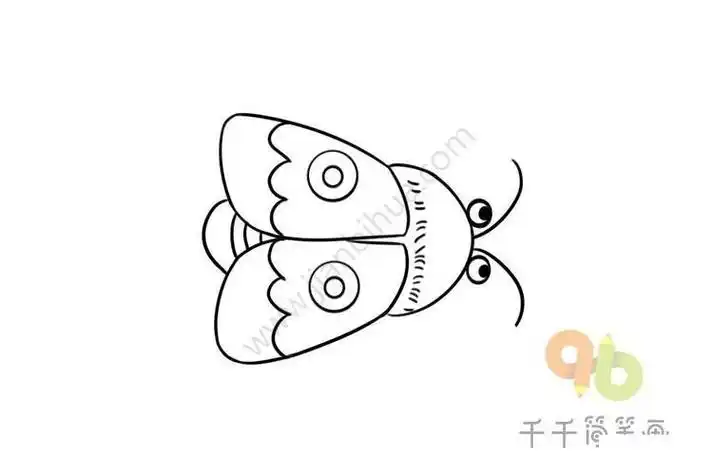 大孔雀蛾简笔画