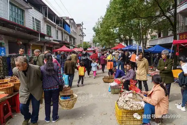 2020年东安县白沙赶集航拍照片视频