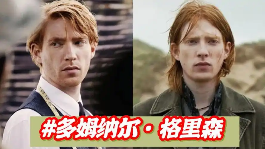 "多闹"多姆纳尔·格里森颜值变化(21–41岁)