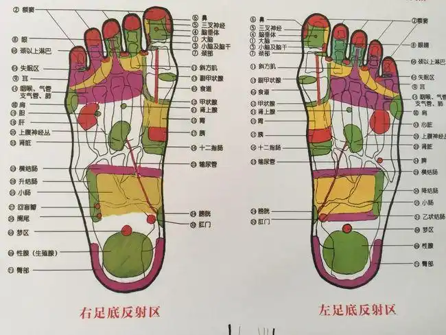 反射疗法之—妙招治牙痛