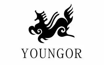 雅戈尔集团股份有限公司