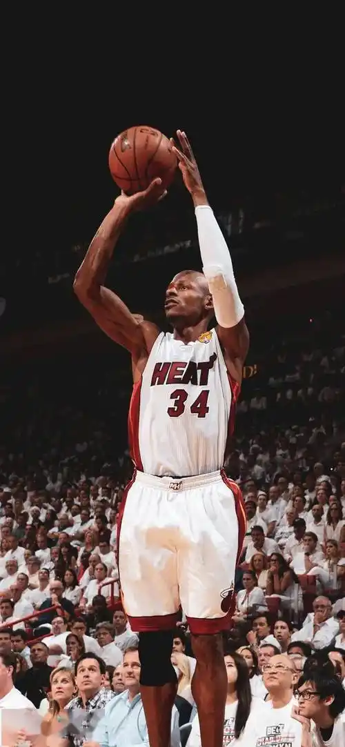 篮球壁纸君子剑雷阿伦高清大图