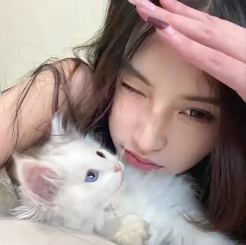 男朋友不是人系列情侣头像