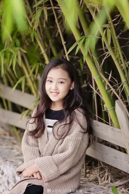 人间理想 张婉儿