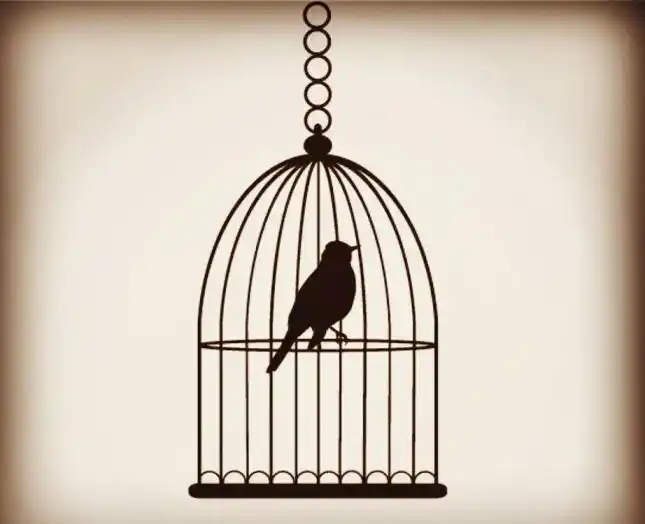 笼中鸟.jpg