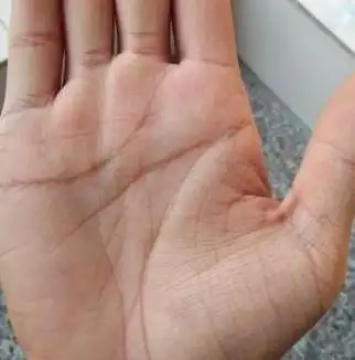 无名指是哪个手指(男生无名指是哪个手指)-知道啦