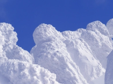 雪白的什么词语填空