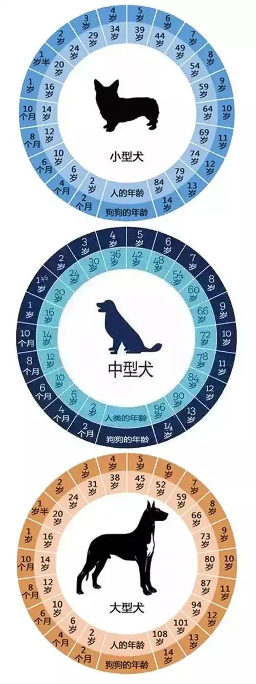 仅 供 参 考不同犬种的年龄对照表最后得出的结论是,八岁狗的身体成熟