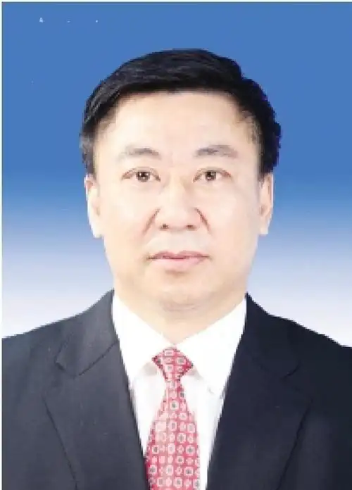 武凤呈任鹤岗市委书记附简历