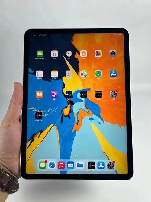 ipadpro2018款插卡4gwifi版256g内存