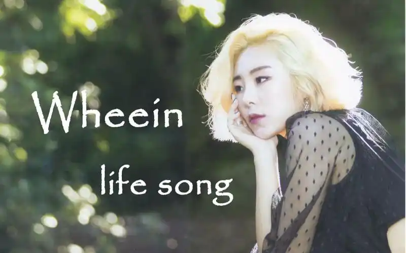 【mamamoo | wheein】丁辉人的人生曲