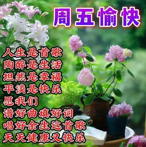 中午好图片大全中午好问候图片大全中午好祝福语