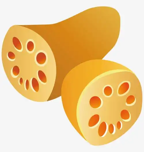 手绘莲藕矢量图