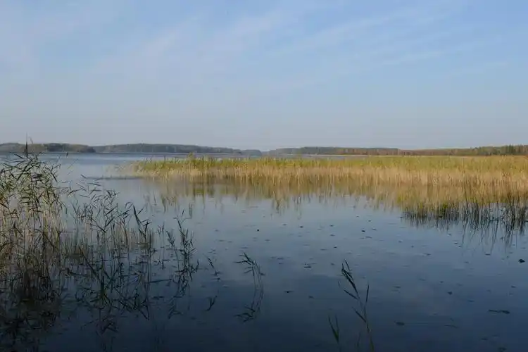 杨姓男孩洋气名字大全 姓氏取名王胡男孩名字大全