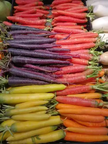 彩色胡萝卜,多种颜色,多种口味搭配.