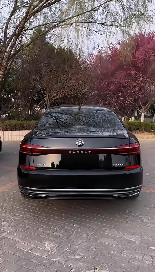 "帕萨特尾部亮条"你们觉得帕萨特尾部亮条怎么贴好看呢?