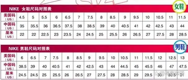 脚长和鞋码的关系