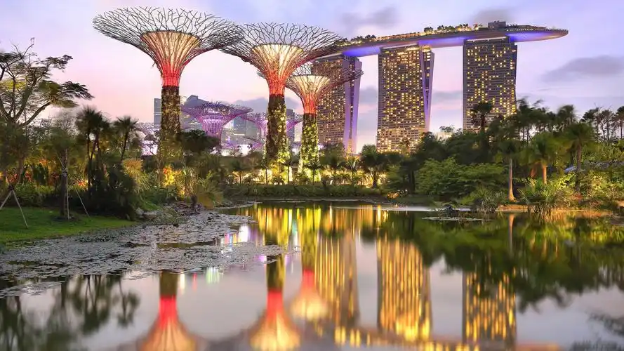 电脑壁纸 风景 美丽的海上花园新加坡