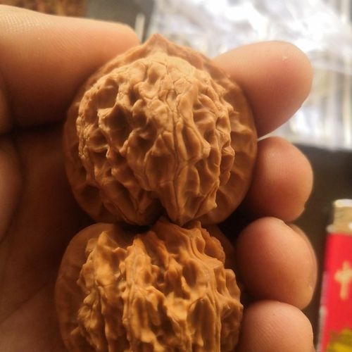 文玩核桃盘山公子帽35到41(楸树嫁接,野生环境生长,骨质超棒)