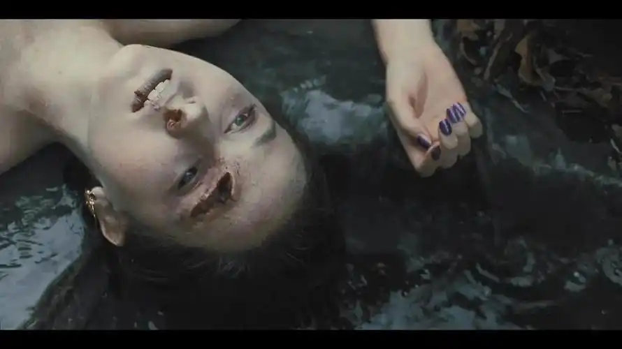 女性主义的深度之作:17岁花季少女之死