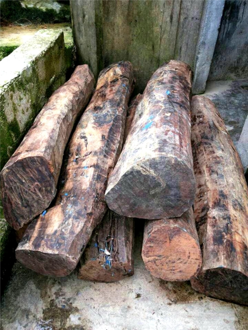 虎斑木椅子价格小猴屁虎斑木专营