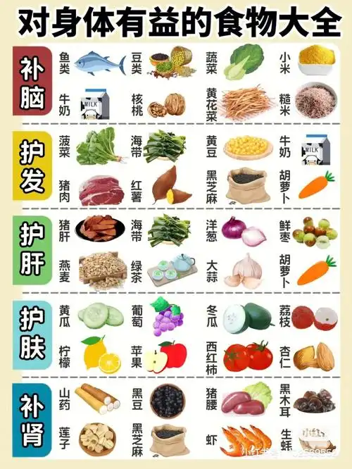 对身体有益的食物