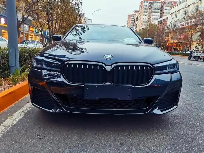 宝马5系(进口)-请问一下磨砂开士米银色的540怎么样,销售说有一台在