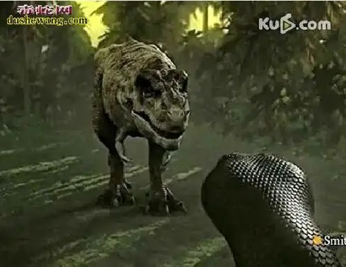 【泰坦蟒吃霸王龙图片】_蛇的图片_毒蛇网