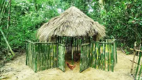 牛人兄弟野外求生用原始技术建造小型竹子鸡舍