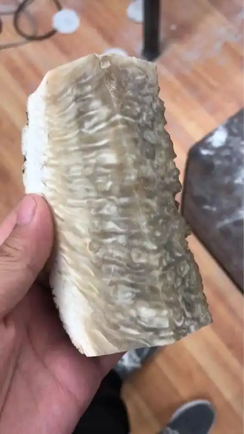 射天角吧-百度贴吧