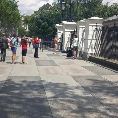 裸男白宫闹事被捕