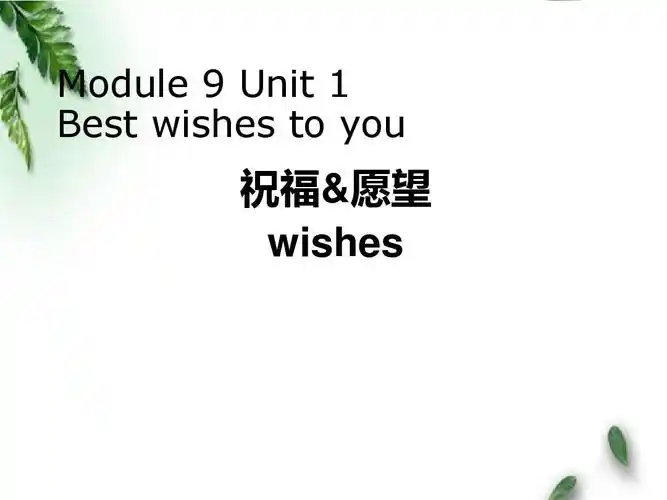 最新外研版小学英语六年级下册module 9 unit 1 best wishes to you