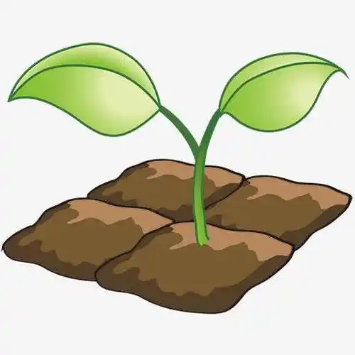 土地,叶子,发芽,卡通,黄土手绘,植物,树苗,土壤手绘土堆干枯的土地