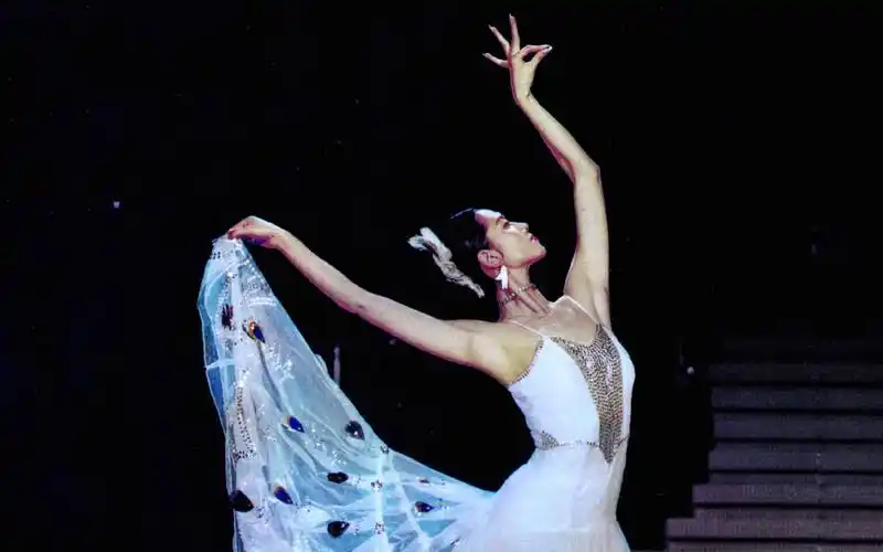 杨丽萍舞蹈专辑之《雀之灵》——没有华丽的舞台,只有会说话的身体