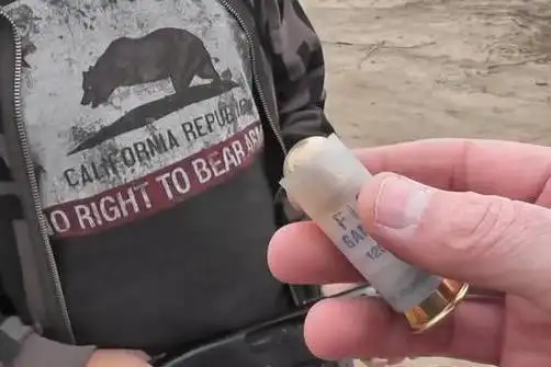 豆袋弹是什么武器?用小袋子装的吗?看完就明白了