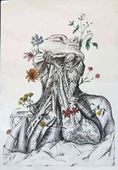 2018年第二届"岑石杯"解剖绘画大赛优秀作品选登(二)|昆明卫生职业