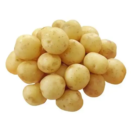 【小马铃薯】-小马铃薯厂家,品牌,图片,热帖-阿里巴巴