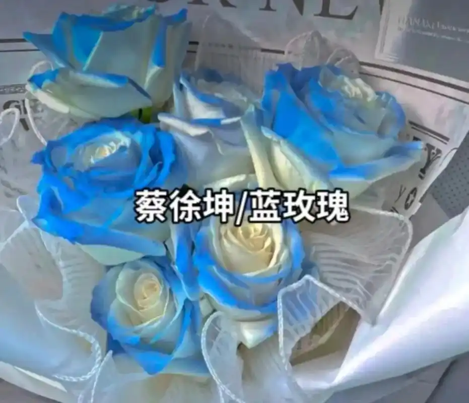 蔡徐坤#蓝玫瑰 - 抖音