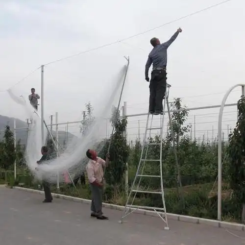 果园防鸟网的安装方法a防鸟网搭建多高