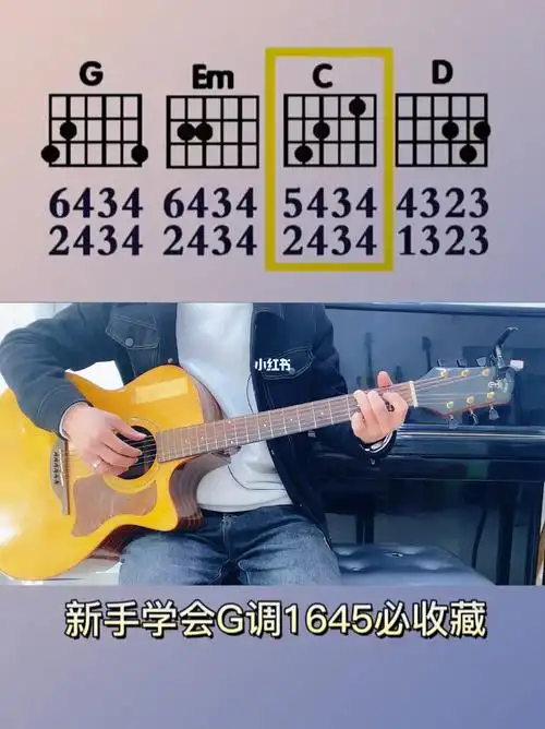 吉他  #零基础学吉他  #吉他谱