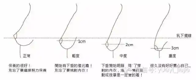 胸型柳岩乳房 完美胸型标准是什么样的及示意图 从e罩杯柳岩开讲_徐丽