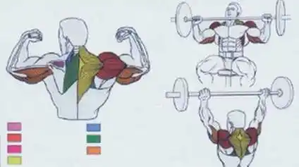 彡_ 片_百度百科