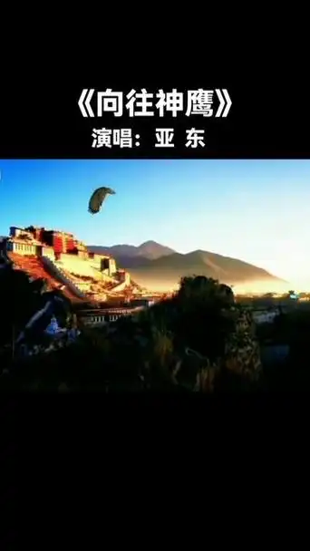 重温经典,亚东《向往神鹰》