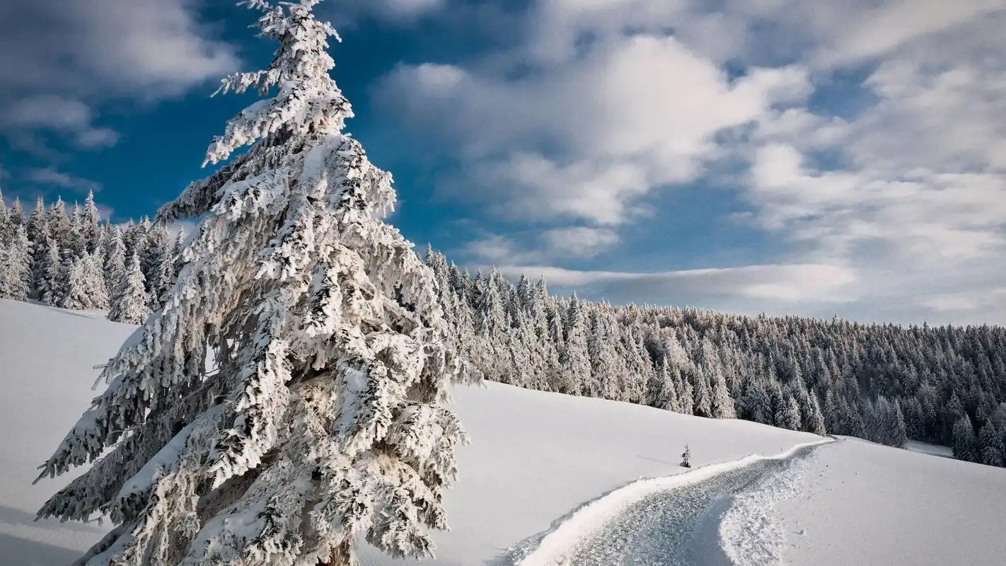 精选寒冷冬天冰天雪地唯美雪景素材图片桌面壁纸下载第一辑6p