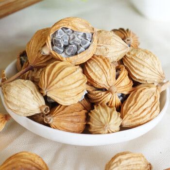 虎钢馋香砂卤料川砂仁艳山姜土砂仁卤水料炖肉散装香料农产品250g