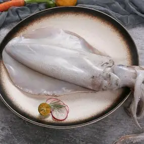 本港软丝鱿鱼鲜活冷冻特大海捕海鲜水产烧烤大尾鱿鱼母莱氏拟乌贼