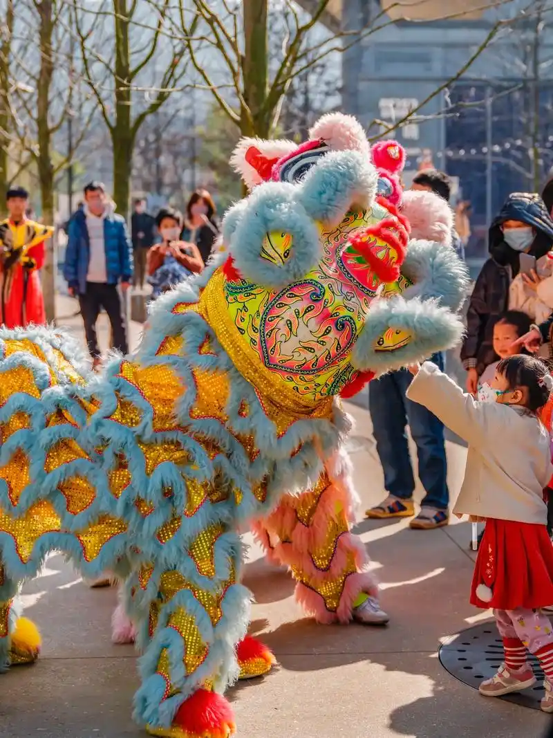 南昌舞狮队158-8491-7692表演.南昌舞狮表演队和锣 - 抖音