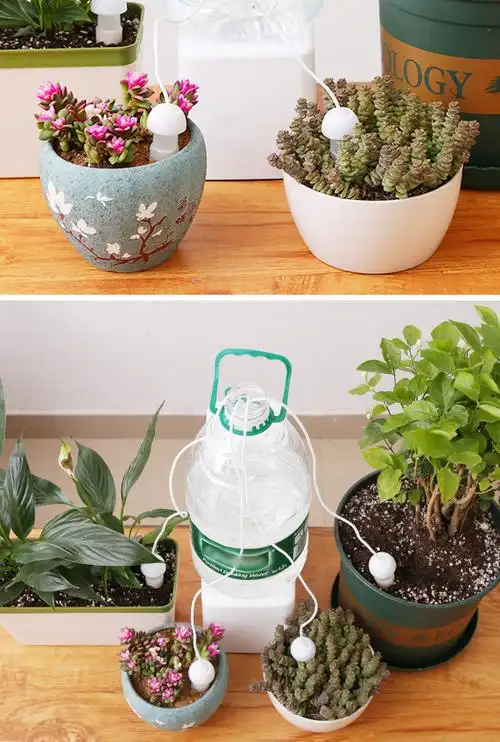 定时自动喷水器渗水器自动浇花器滴水懒人浇水外出旅游浇花神器家用