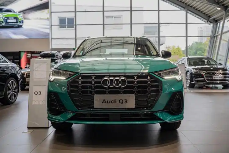 想要生活过得去,车里必须带点绿!#奥迪  #奥迪q3  #绿色穿搭