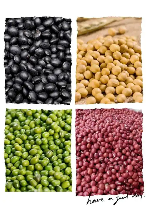 《旌阳区实验幼儿园分园大班》 大自然赋予的生命——豆子成长记 - 美